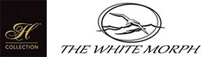 the white morph kaikoura