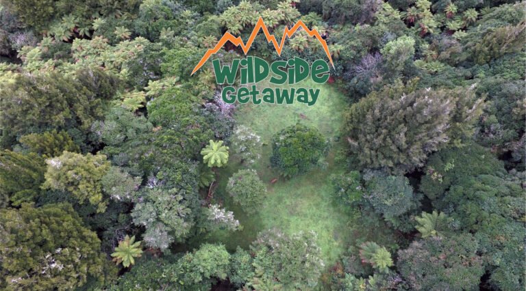 wildside getaway owhango 768x426