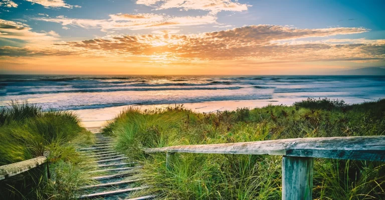 Canterbury day tours 768x399