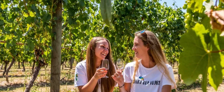 Cheeky Kea Wine Tours 768x315