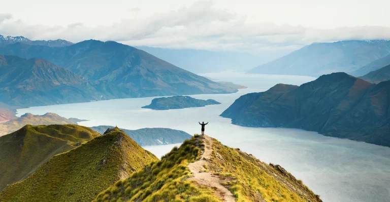 South Island eco tour 768x399