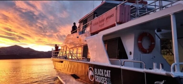 akaroa sunset cruise 768x355