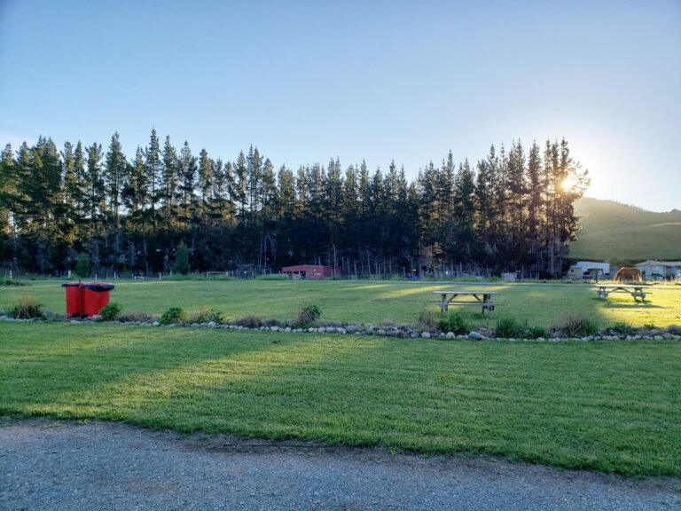 andys place fiordland 768x576