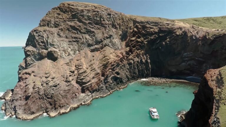 boat tour akaroa 1 768x432