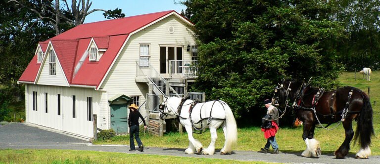 carriage house kerikeri 768x332