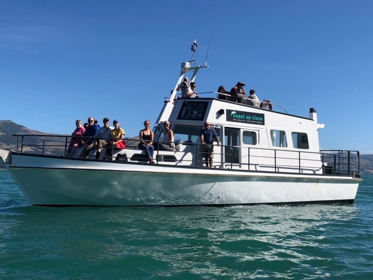 coast up close akaroa 768x576