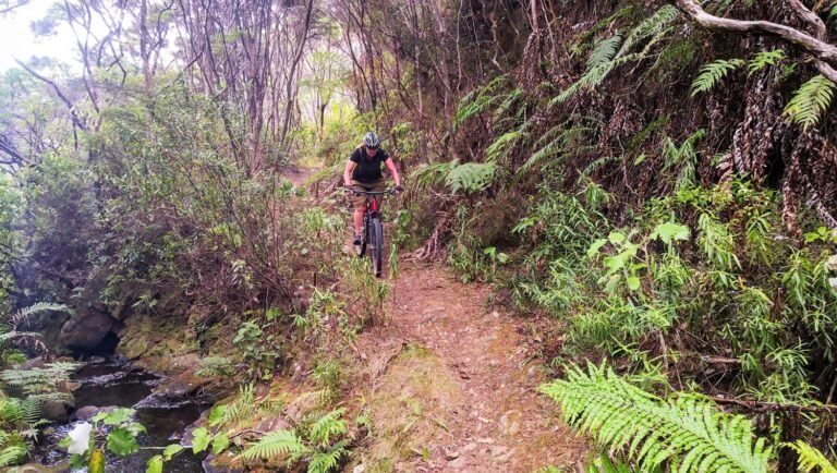 coromandel cycle tours 768x434