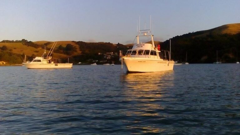coromandel fishing tours 768x432