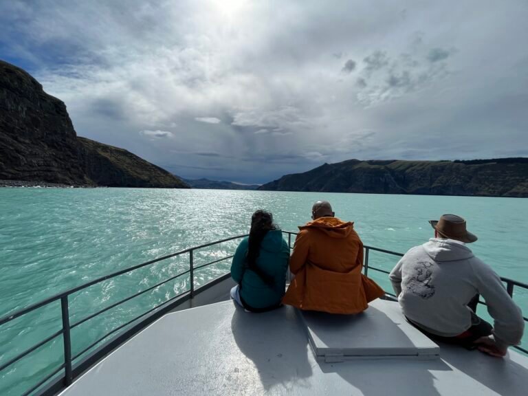 cruise akaroa harbour 768x576