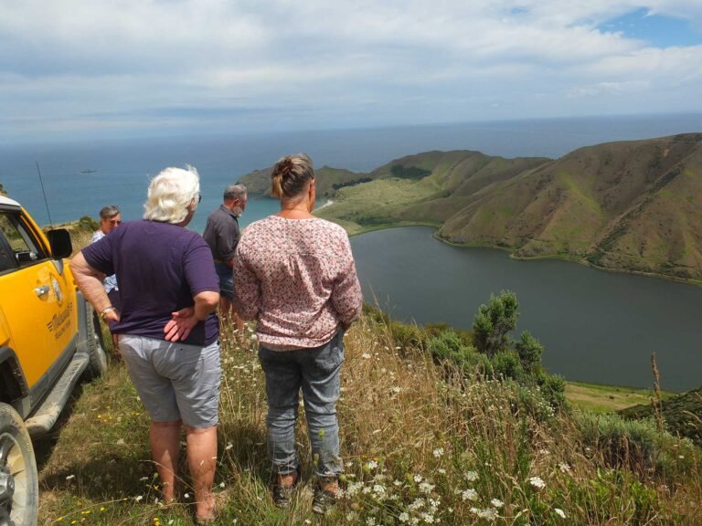 d urville island 4wd tour 768x576