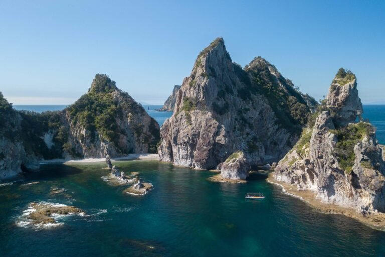 daily boat tours coromandel 768x512