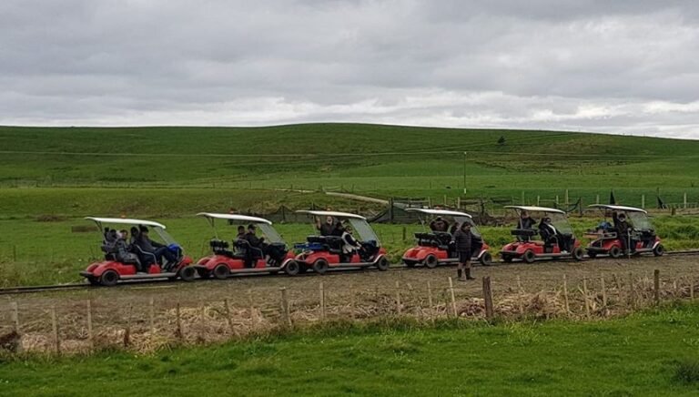 dargaville rail cart tours 768x436