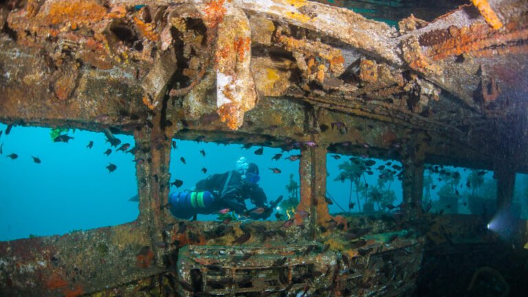dive northland ship wrecks 768x432