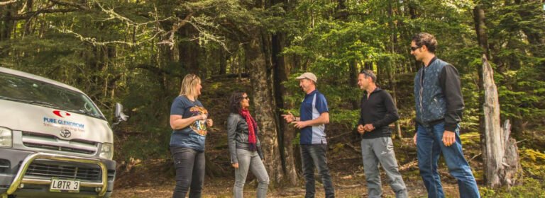 glenorchy LOTR tour 768x280