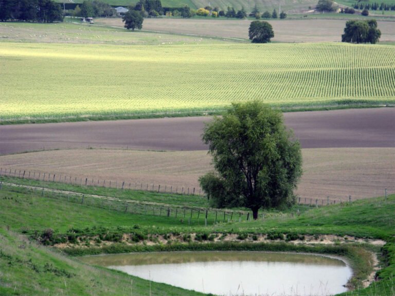 hawkes bay farmstay 768x576