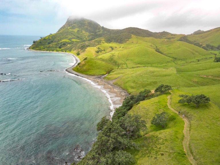hiking tour coromandel nz 768x576
