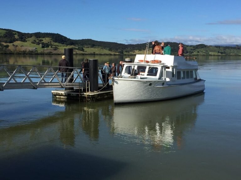 hokianga harbour cruise 768x576