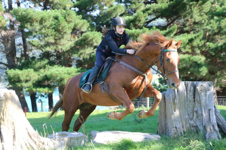 horse riding lessons dunedin 768x512