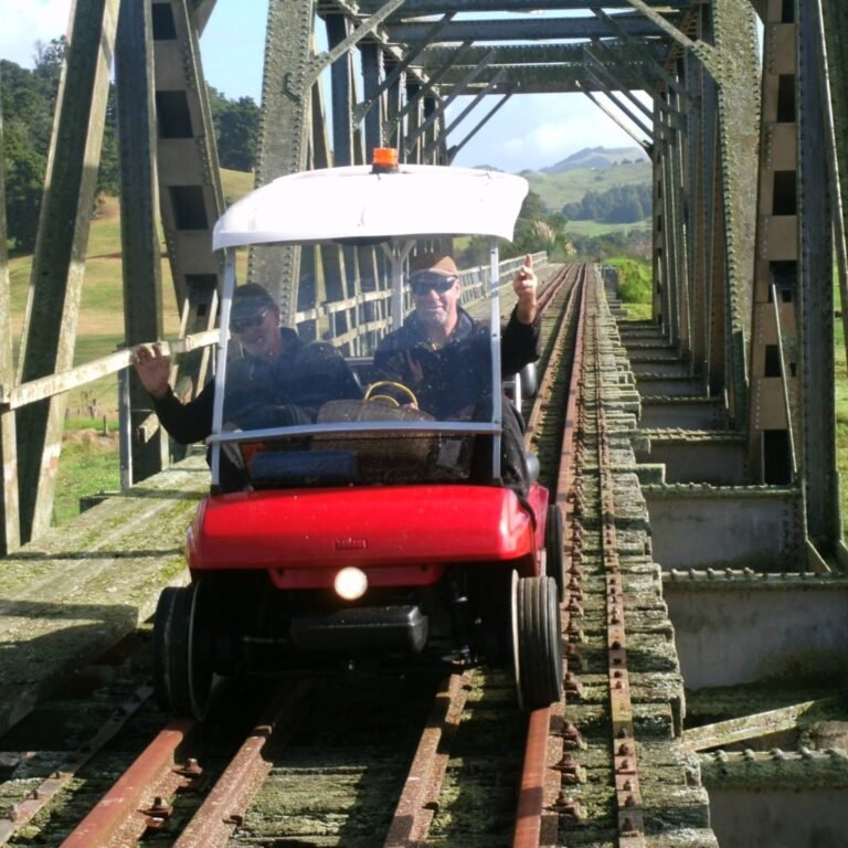 kaipara day activity 768x768