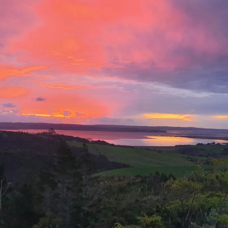 kaipara harbour sunset 768x768