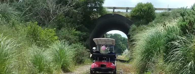 kaipara rail tours 768x293