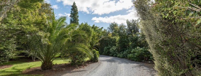 kauri park kerikeri 768x291