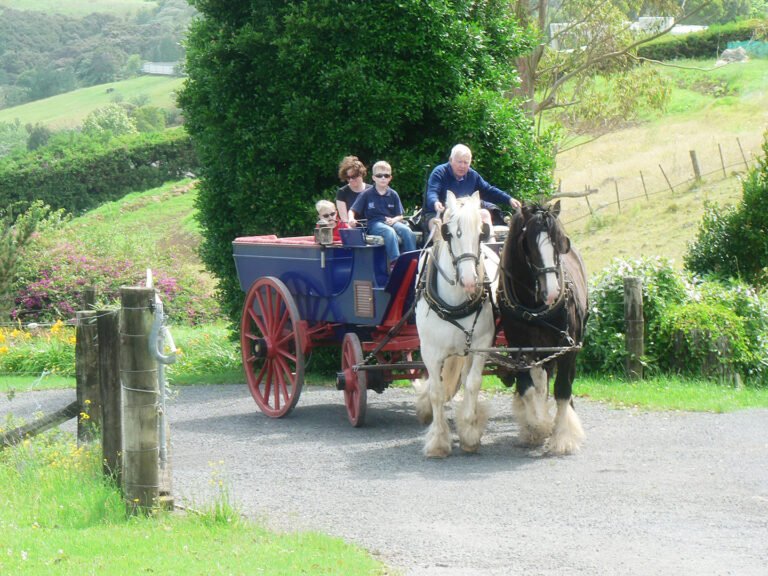 kerikeri farmstay 768x576