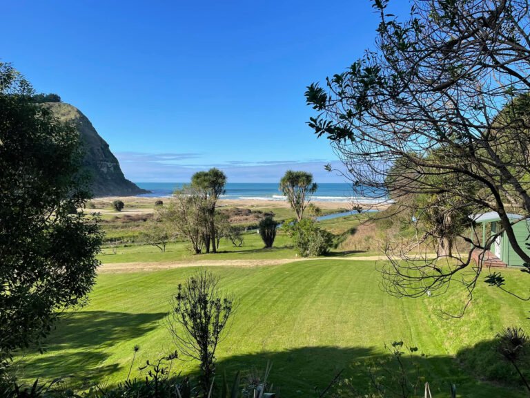 napier beach front camping 768x576