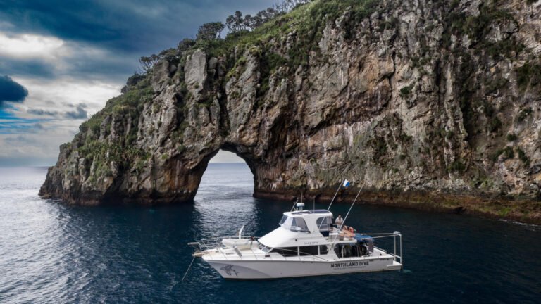 northland dive 768x432