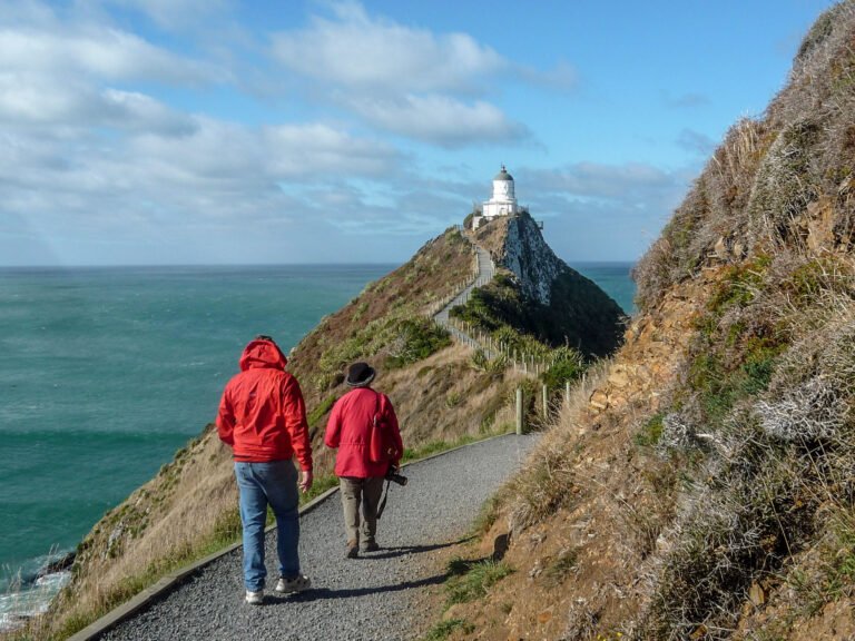 nugget point lighthouse walk tour 768x576