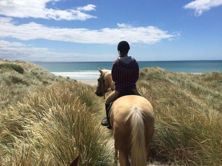 port chalmers horse treks 768x576