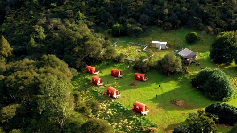 posh pioneers whanganui 768x432