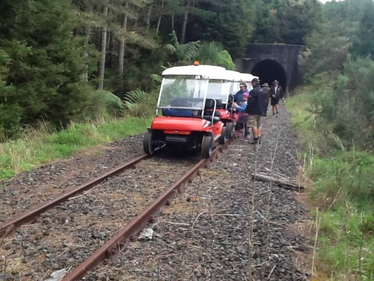 rail tour dargaville 768x576