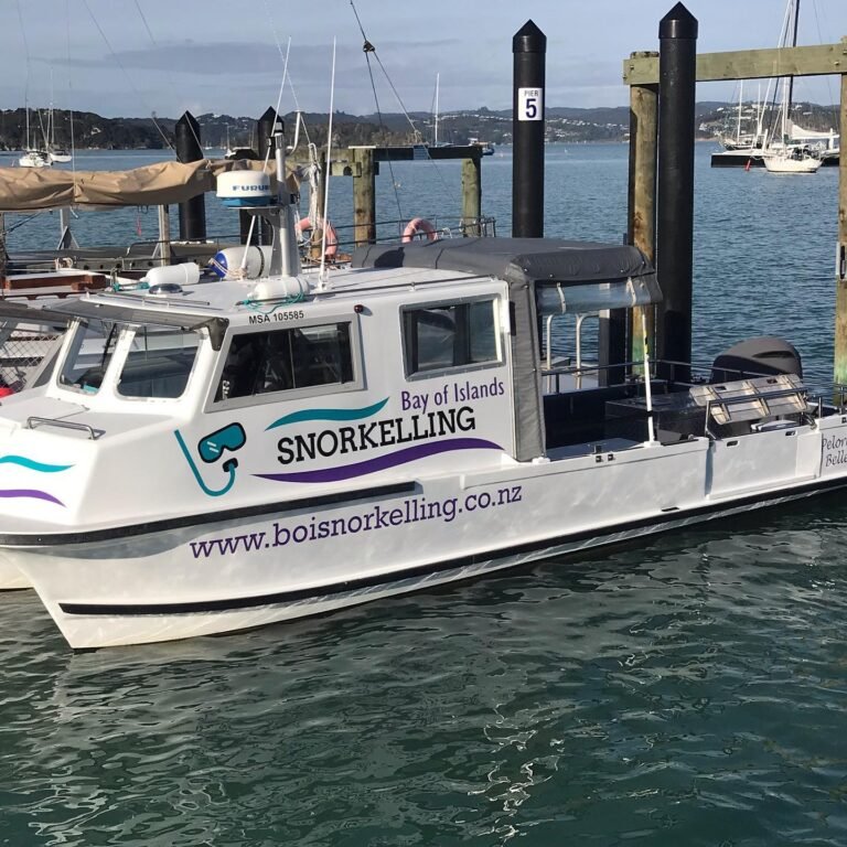 snorkel tour bay islands 768x768