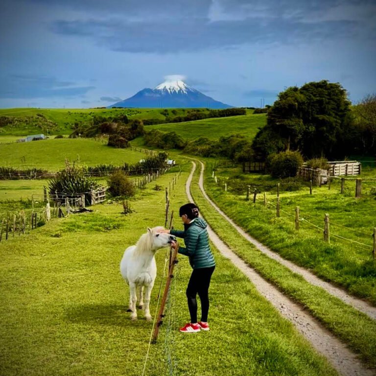 stay eltham taranaki 768x768