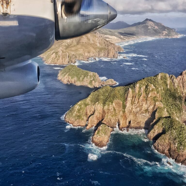 stewart island flights 768x768