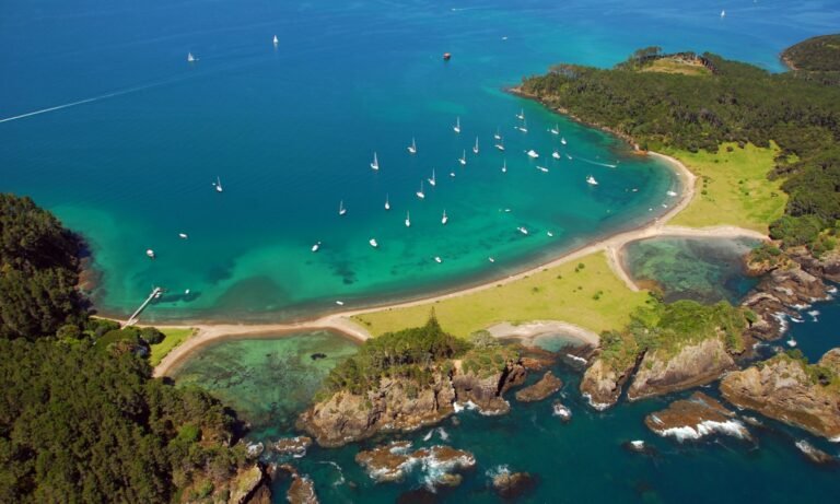 water activity paihia 768x461