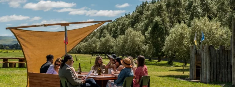 wine tasting Christchurch 768x286