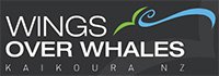 whale watching in nz