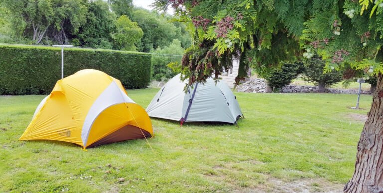 Clutha Trail camp ground 768x387