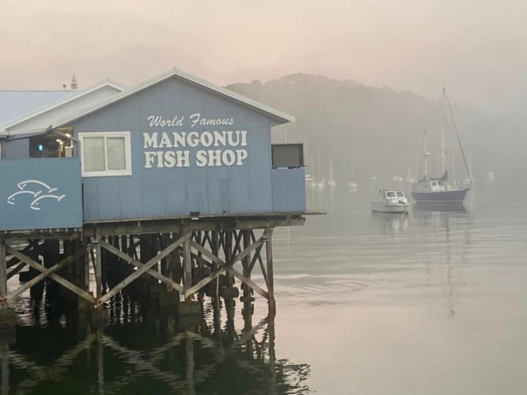 Mangonui fish shop 768x576