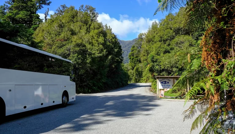 South Island salmon farm 768x439