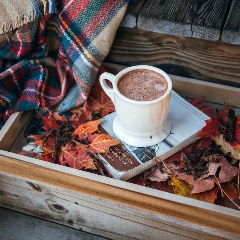 Star tour Tekapo 768x768