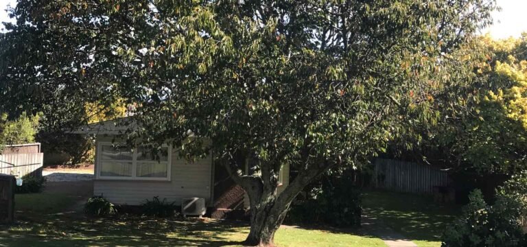 Tahunanui Beach holiday home 768x360