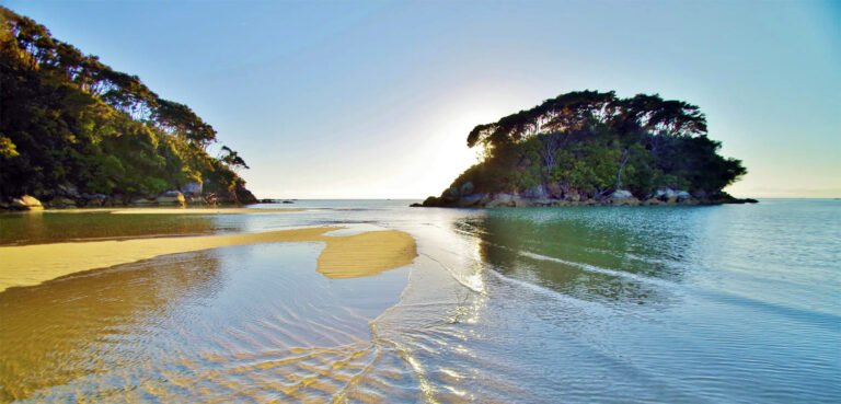 Day tour Abel Tasman 768x369