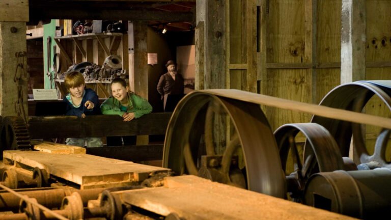 Greymouth family attraction 768x432