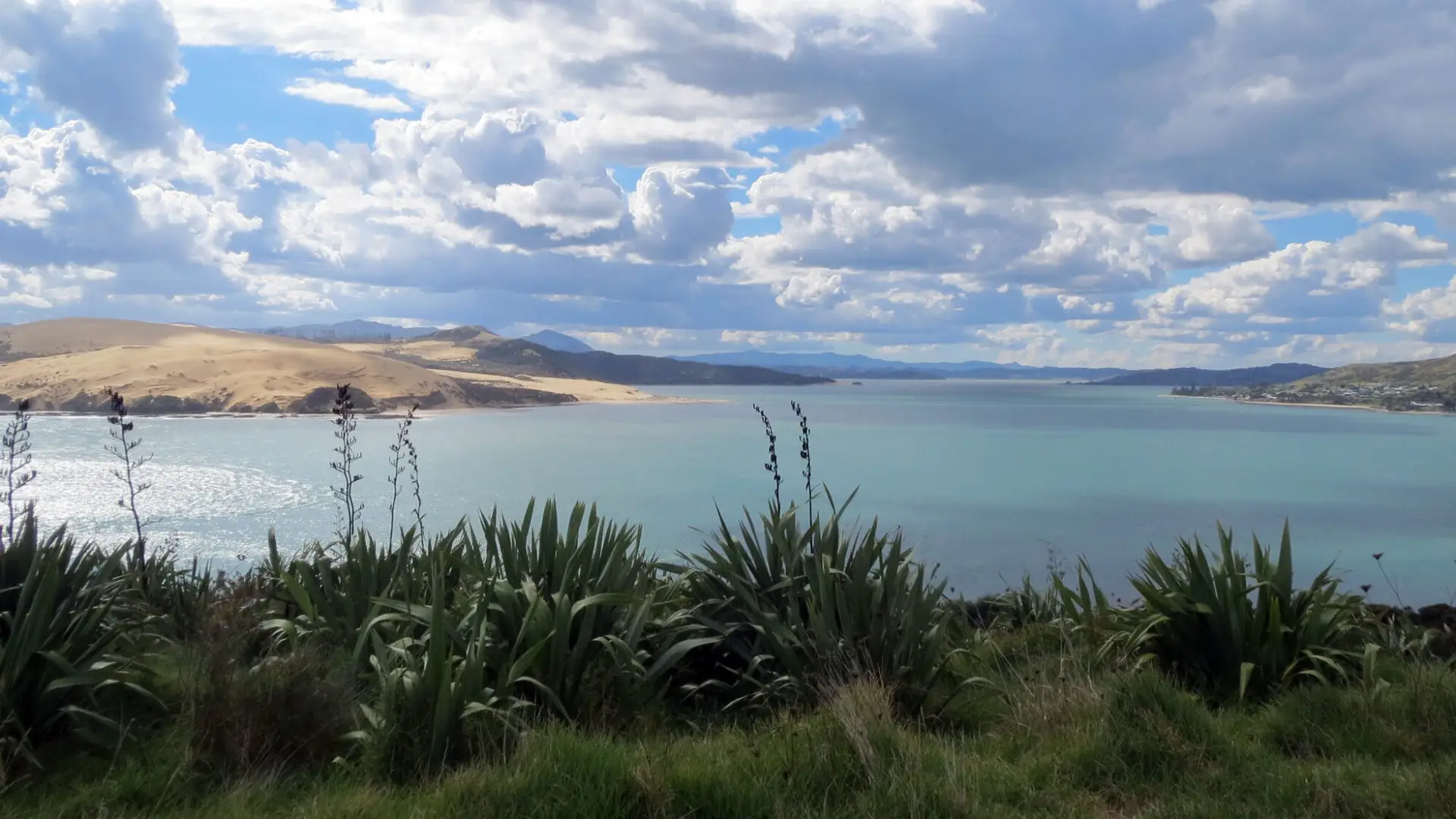 Hokianga Harbour