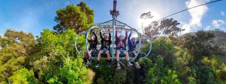 Nelson Adventure Park 768x286