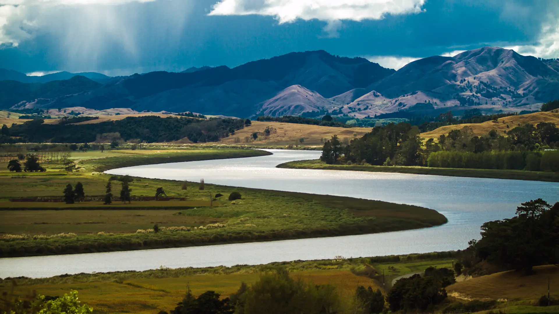 Tangihua Forest Park