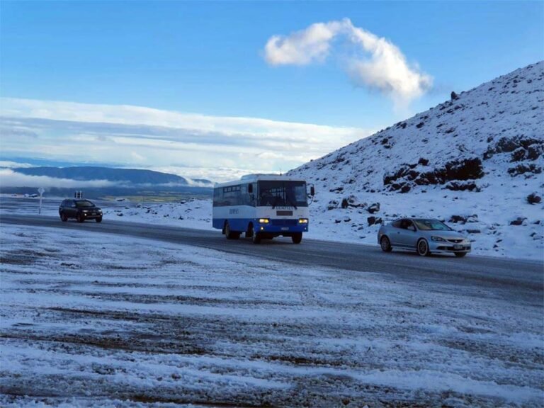 Tongariro bus transport 768x576